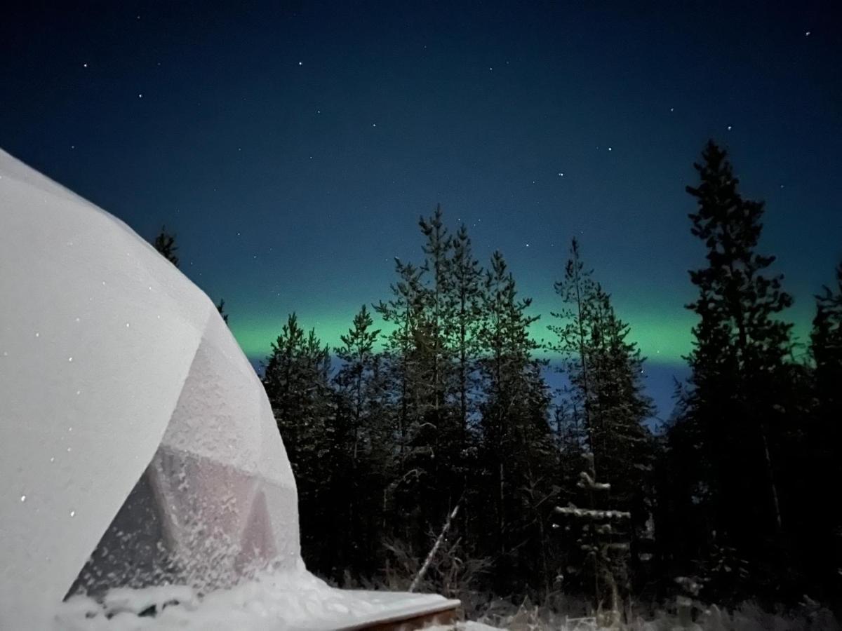 Aurora Igloo Fireplace-Heated Tents In A Secret Forest With Private Jacuzzi And Shared Sauna Bathroom And Dog Friendly Rovaniemi Ngoại thất bức ảnh