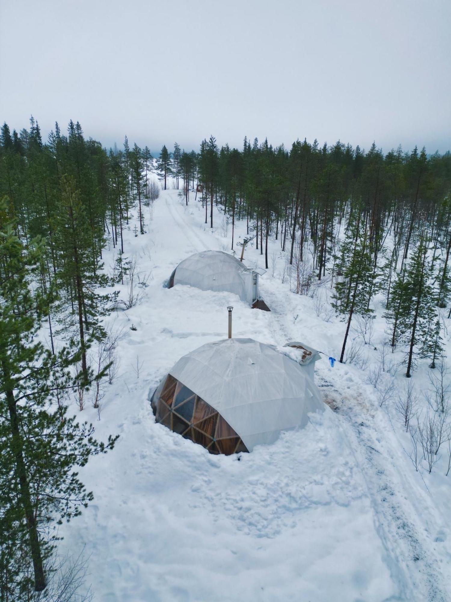 Aurora Igloo Fireplace-Heated Tents In A Secret Forest With Private Jacuzzi And Shared Sauna Bathroom And Dog Friendly Rovaniemi Ngoại thất bức ảnh