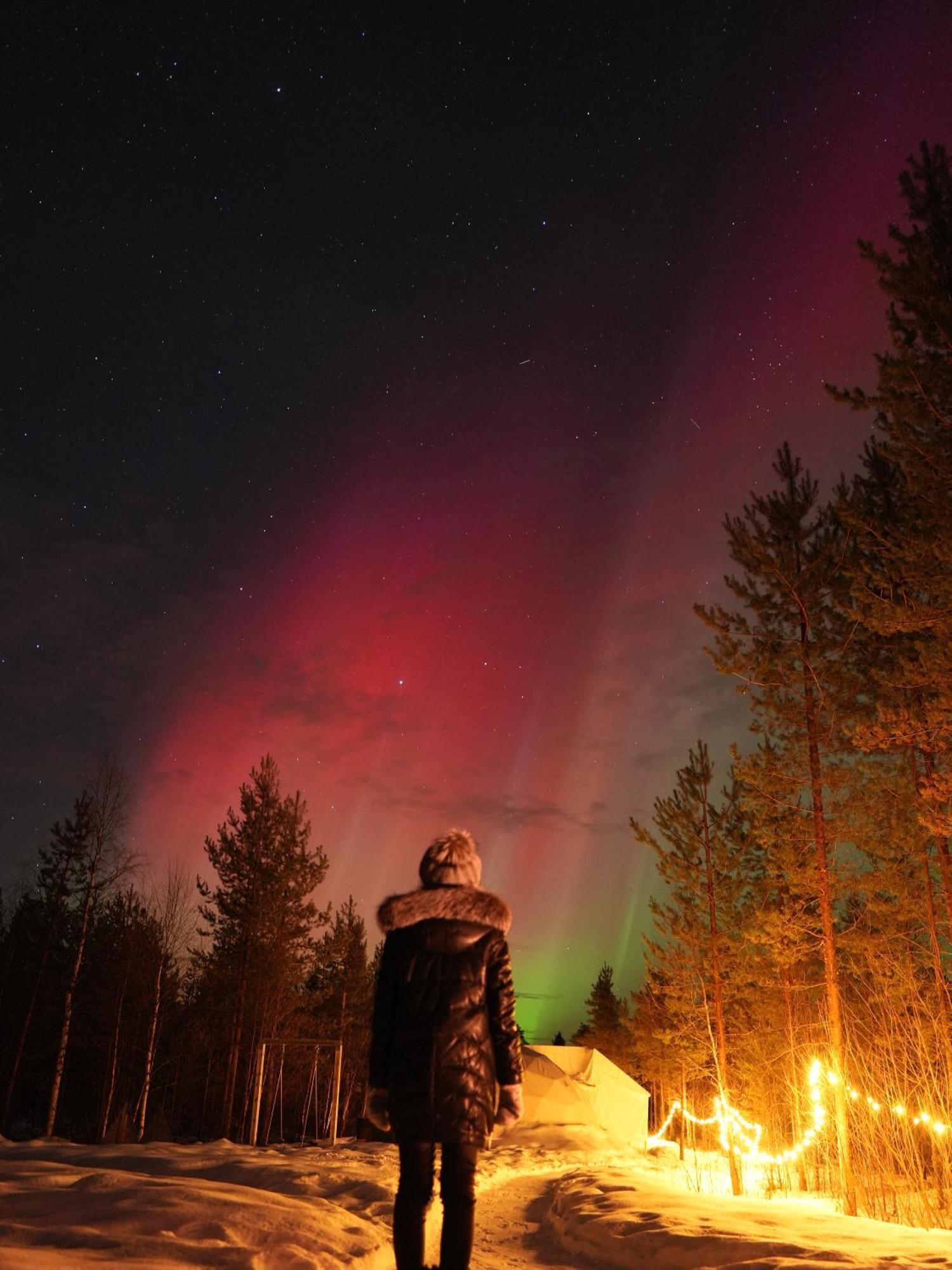Aurora Igloo Fireplace-Heated Tents In A Secret Forest With Private Jacuzzi And Shared Sauna Bathroom And Dog Friendly Rovaniemi Ngoại thất bức ảnh